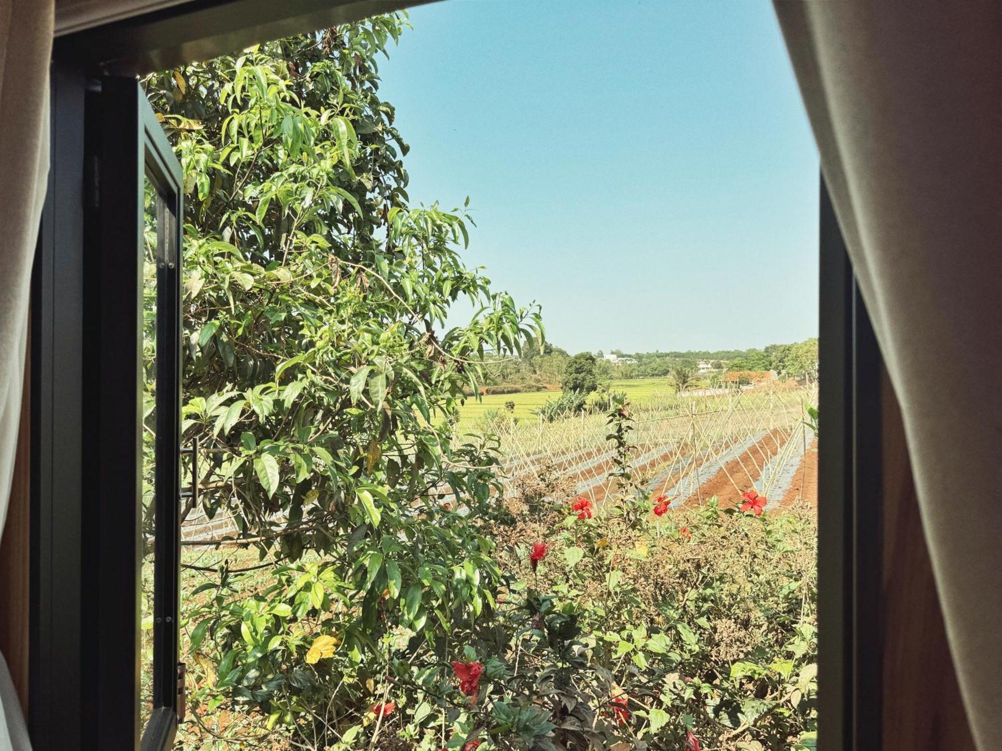 פלייקו Xom Organic Farm Stay מראה חיצוני תמונה